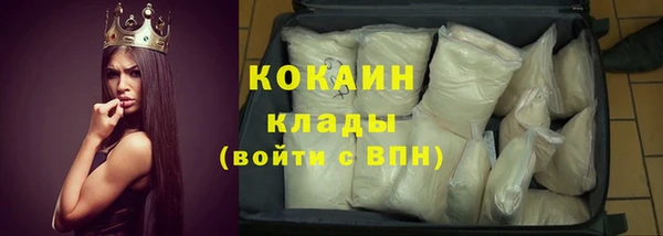 гидра Богданович