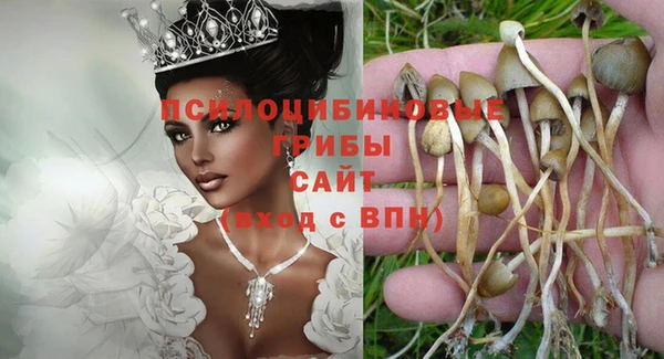 прущие крисы Бронницы
