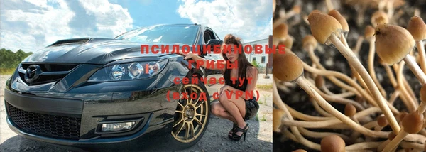 прущие крисы Бронницы